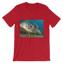 Endangered Species t-shirt