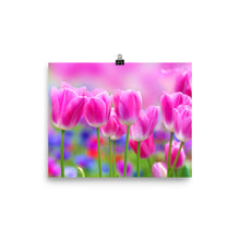 Tulips poster