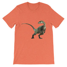 Dinosaur t-shirt