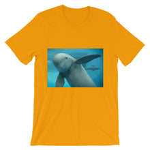 Endangered Species t-shirt