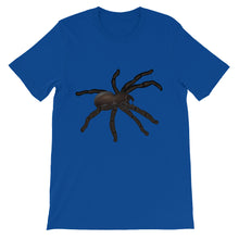 Tarantula t-shirt