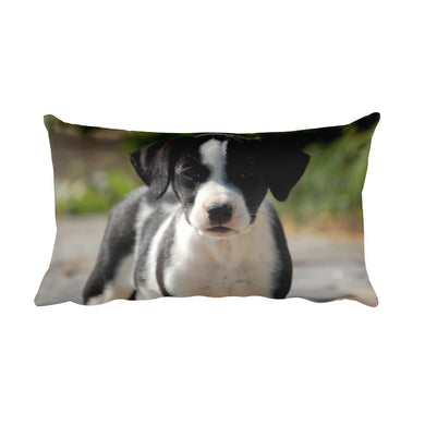 Puppy Pillow