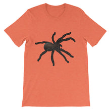 Tarantula t-shirt