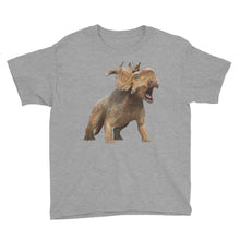 Dinosaur Youth Short Sleeve T-Shirt