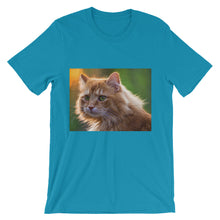 Cat t-shirt