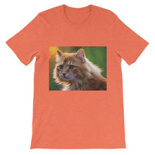 Cat t-shirt