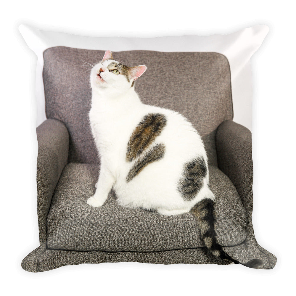 Cat on a Chair Pillow