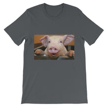 Pig t-shirt