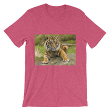 Endangered Species t-shirt