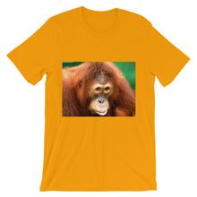 Endangered Species t-shirt