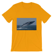 Endangered Species t-shirt