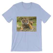 Endangered Species t-shirt