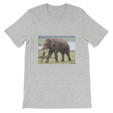 Endangered Species t-shirt