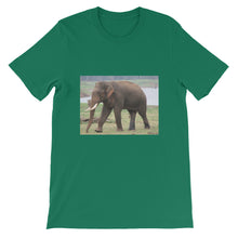 Endangered Species t-shirt