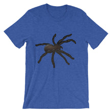 Tarantula t-shirt