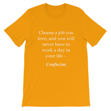 Choose a job you love t-shirt