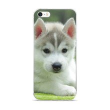 Husky Puppy iPhone 5/5s/Se, 6/6s, 6/6s Plus Case