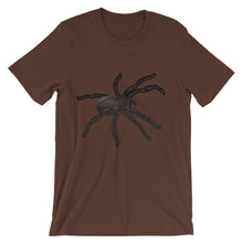 Tarantula t-shirt