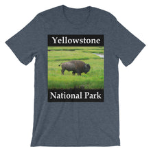 Yellowstone t-shirt