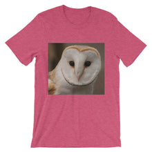 Owl t-shirt