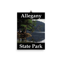 Allegany State Park poster