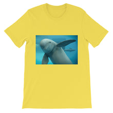 Endangered Species t-shirt