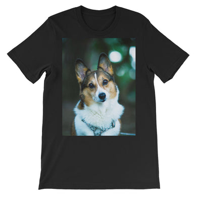 Corgi t-shirt