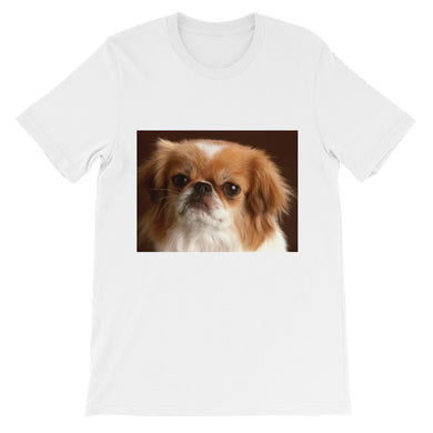 Dog t-shirt