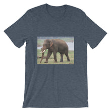 Endangered Species t-shirt
