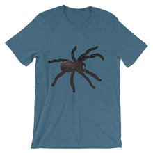 Tarantula t-shirt