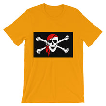 Pirate Flag t-shirt