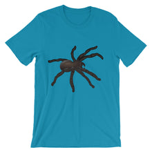 Tarantula t-shirt