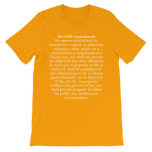 Fifth Amendment t-shirt