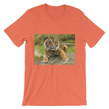 Endangered Species t-shirt