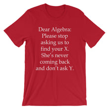 Dear Algebra t-shirt
