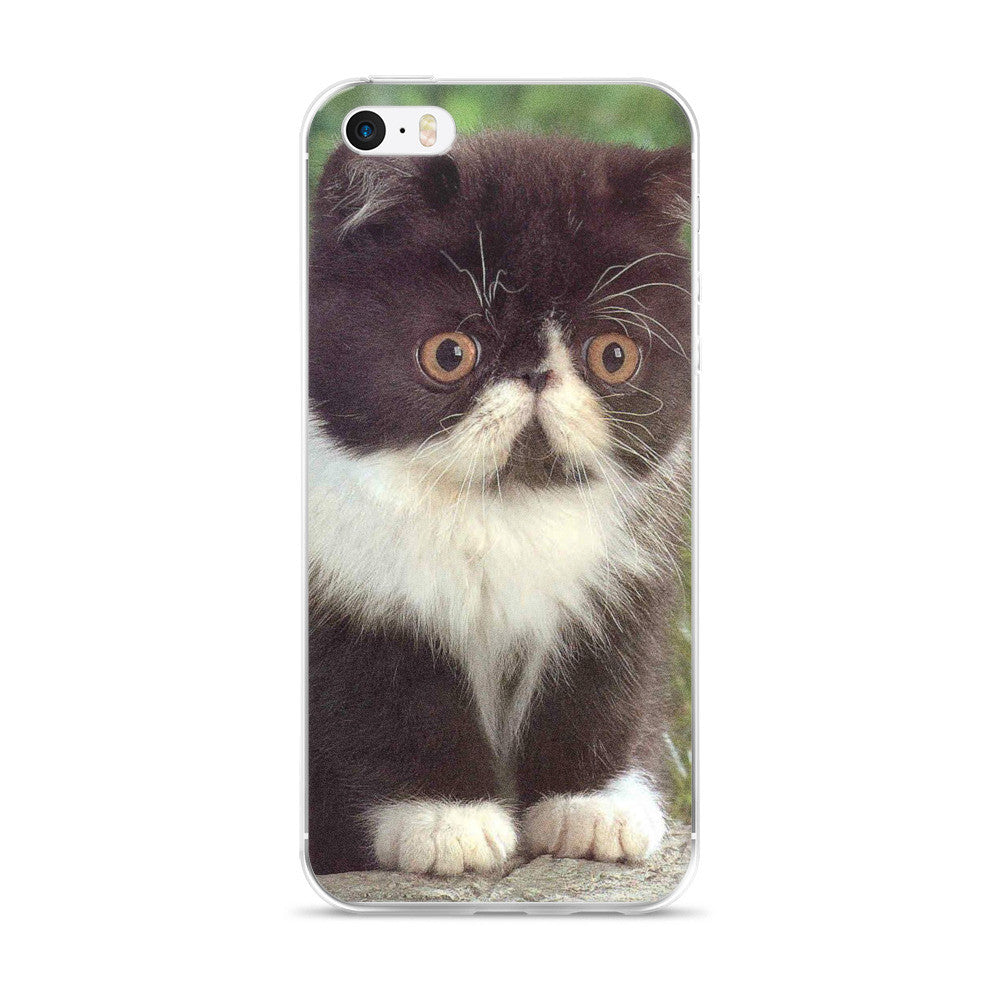 Kitten iPhone 5/5s/Se, 6/6s, 6/6s Plus Case