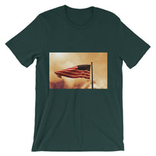 American Flag t-shirt