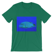 Endangered Species t-shirt