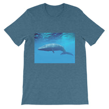 Endangered Species t-shirt