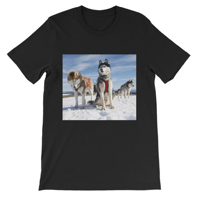 Huskies t-shirt