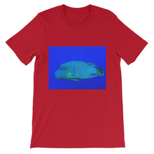 Endangered Species t-shirt