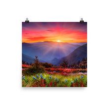 Sunset poster