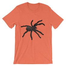 Tarantula t-shirt