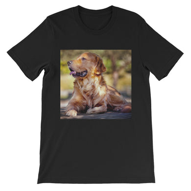 Dog t-shirt