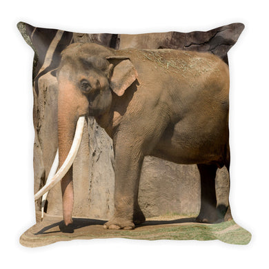 Endangered Species Pillow