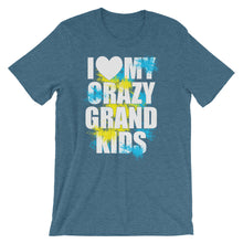 I Love My Crazy Grandkids t-shirt