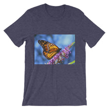 Butterfly t-shirt