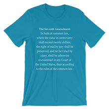 Seventh Amendment t-shirt