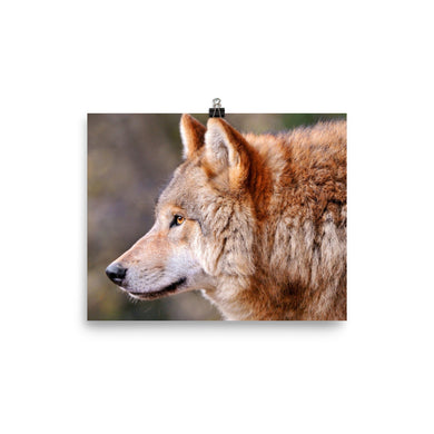 Wolf poster