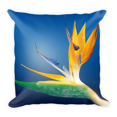 Bird of Paradise Pillow